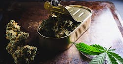 Marijuana Test 60ef373d6886d Marijuana Test 60ef373d6886d