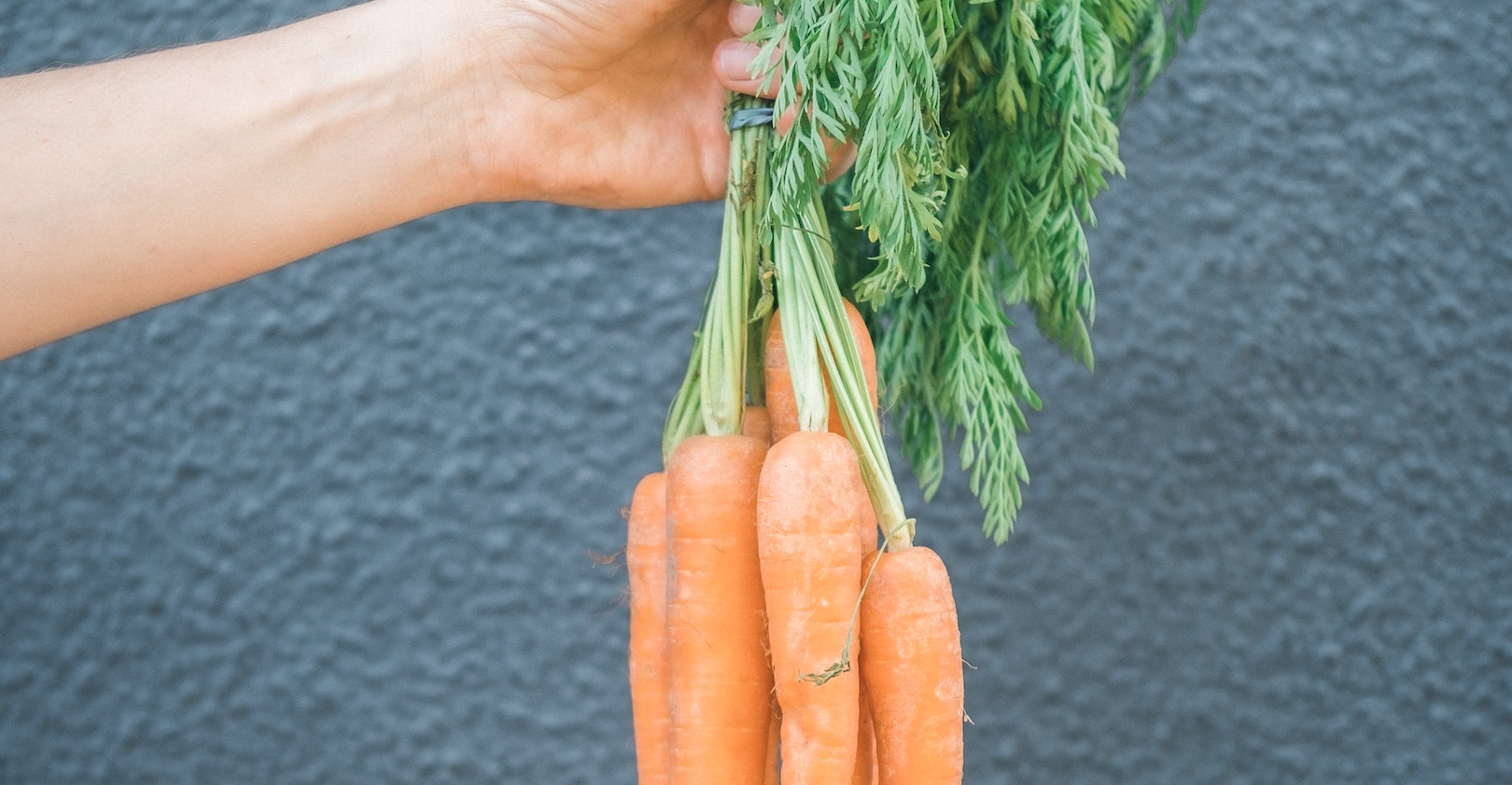 Carrot 1 611c36bc95682