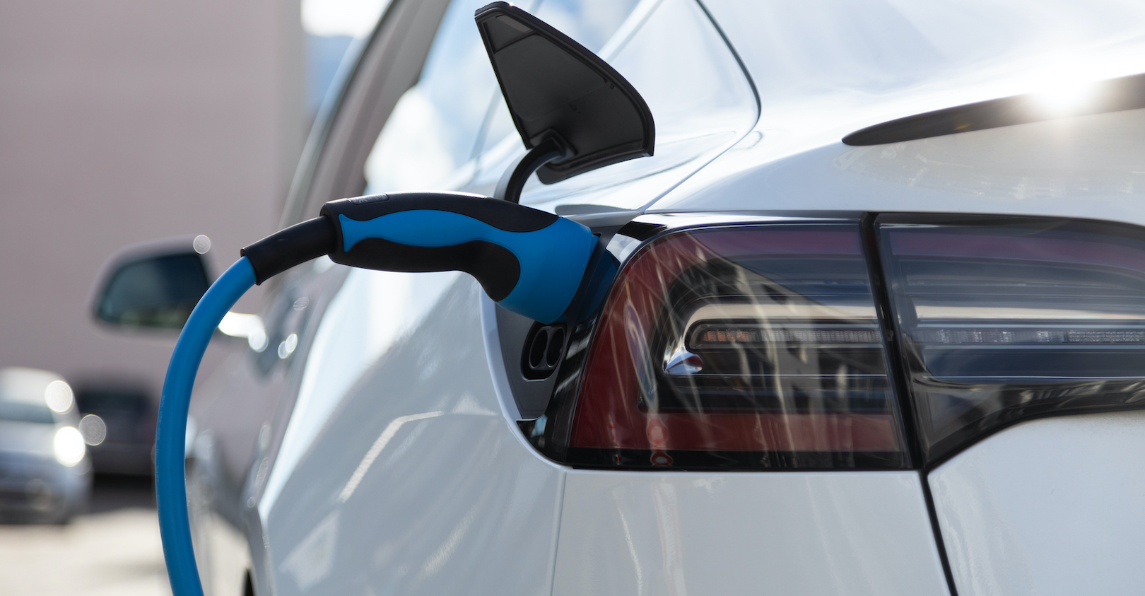 Dreamstime Xxl 173996421 61250351bf31f