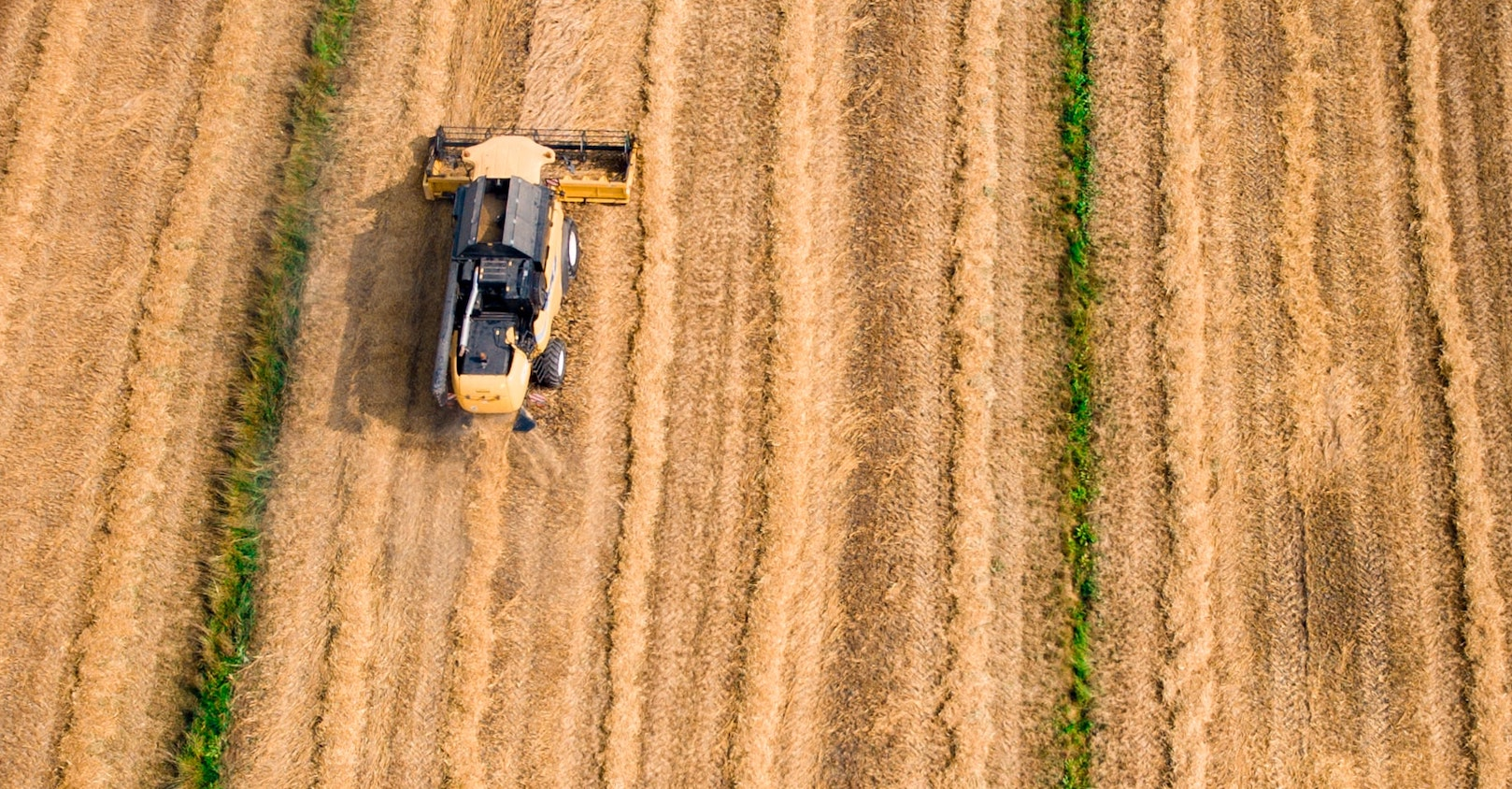 Kees Streefkerk 8y Hx Jv5 P Ps A Unsplash 61491f09e4b67