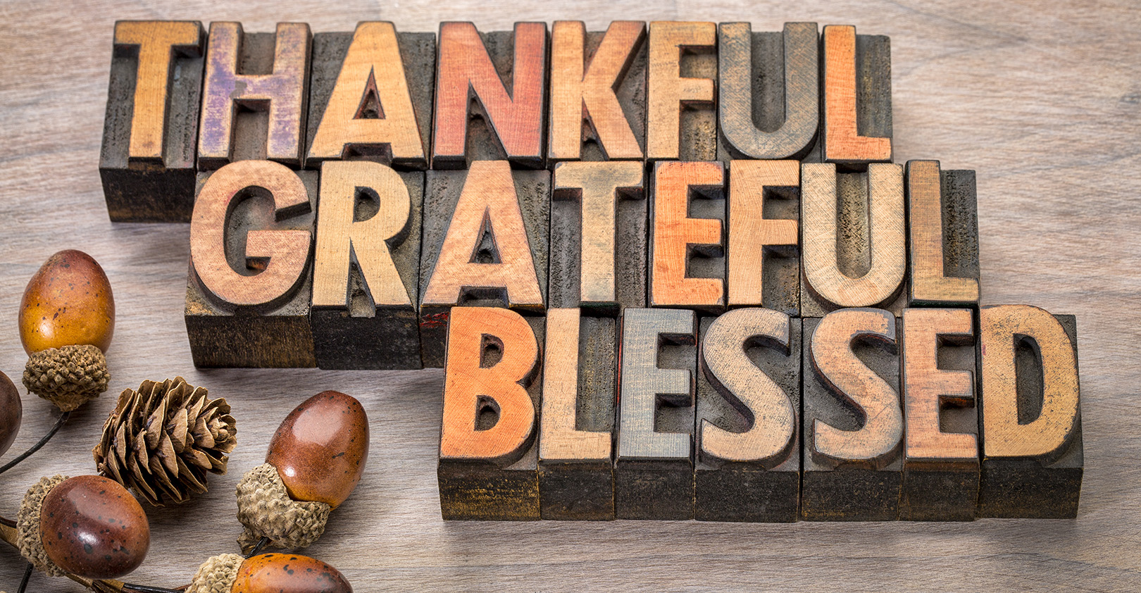 Thankful 6192c7d3d749c