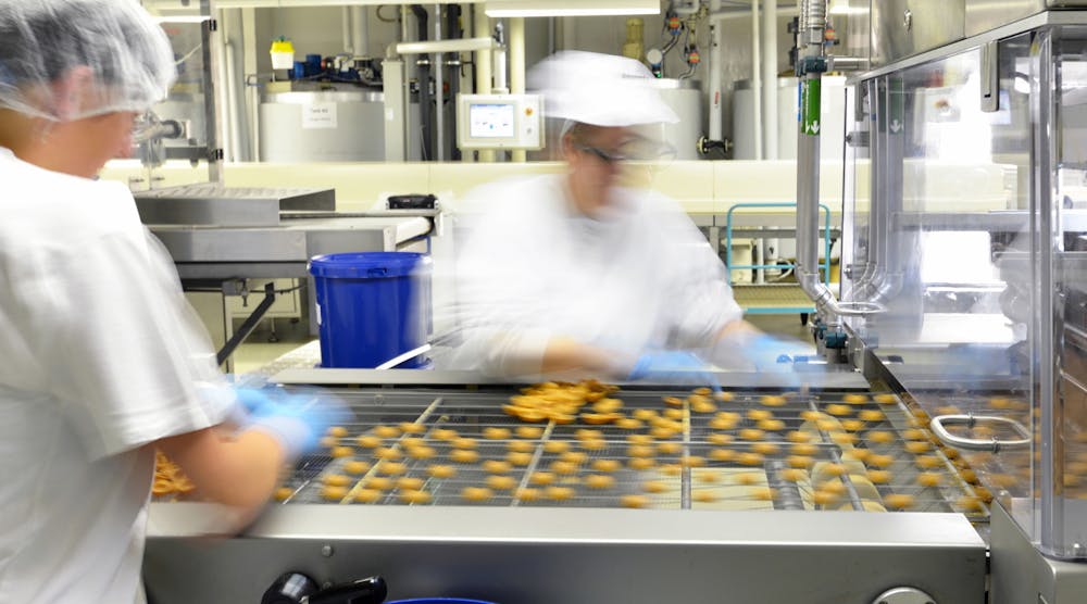 Two employees working on a praline production line in a food production factory.