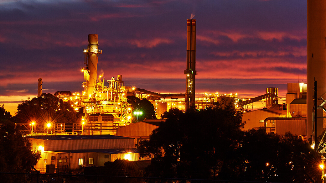 Aa Plant Dark 61e992832156b