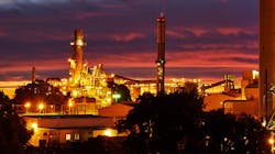 Aa Plant Dark 61e992832156b Aa Plant Dark 61e992832156b