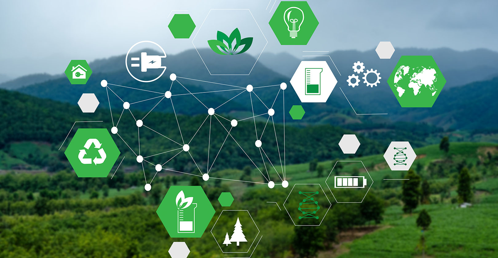 Fixing the Gray Areas in a Green Supply Chain IndustryWeek
