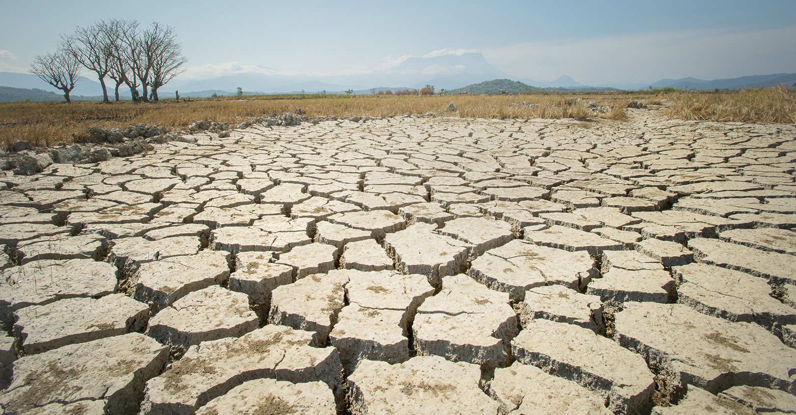 Desert 61fabe819da51