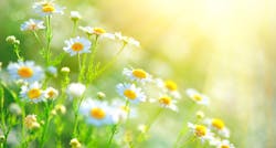 Spring Cleaning 621fde4bde2b2 Spring Cleaning 621fde4bde2b2