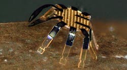 Tiny Robot Crab