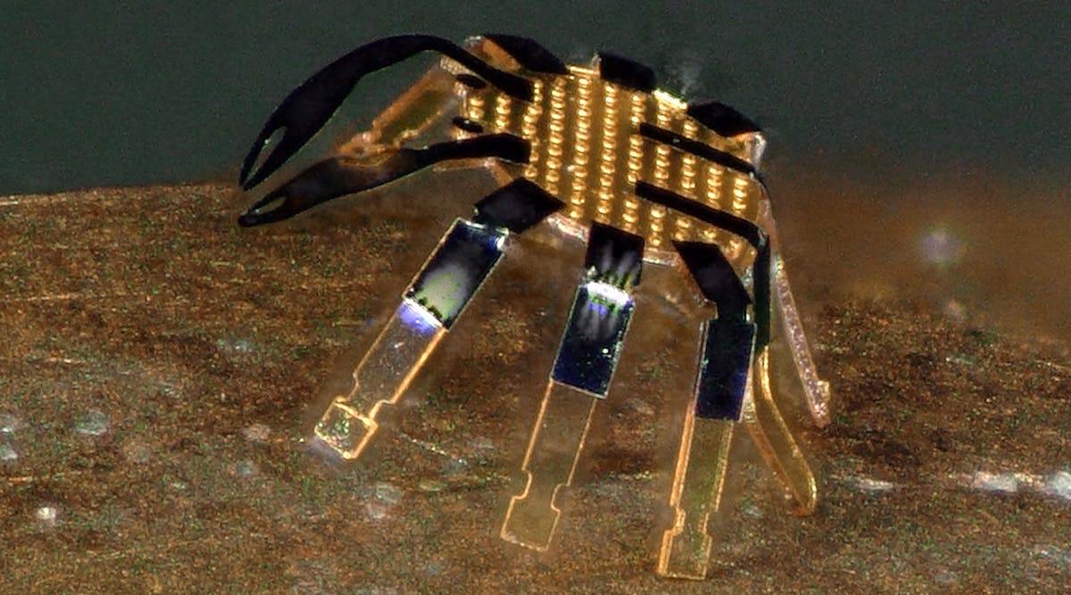 Tiny Robot Crab