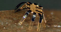 Tiny Robot Crab 628e7c0e7e644 Tiny Robot Crab 628e7c0e7e644