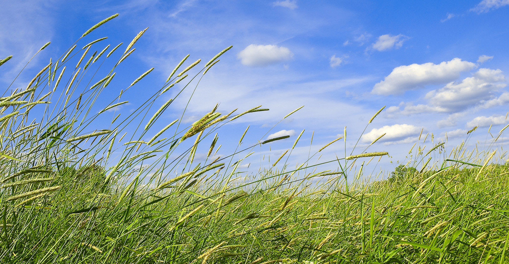 Shakeups bring good as well as bad.