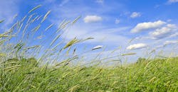 Shakeups bring good as well as bad. Shakeups bring good as well as bad.