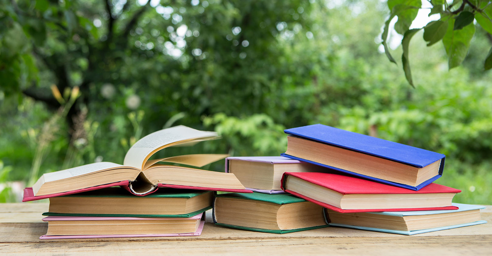 Books Outside Dreamstime Xl 211243907 62e3fee10fdab