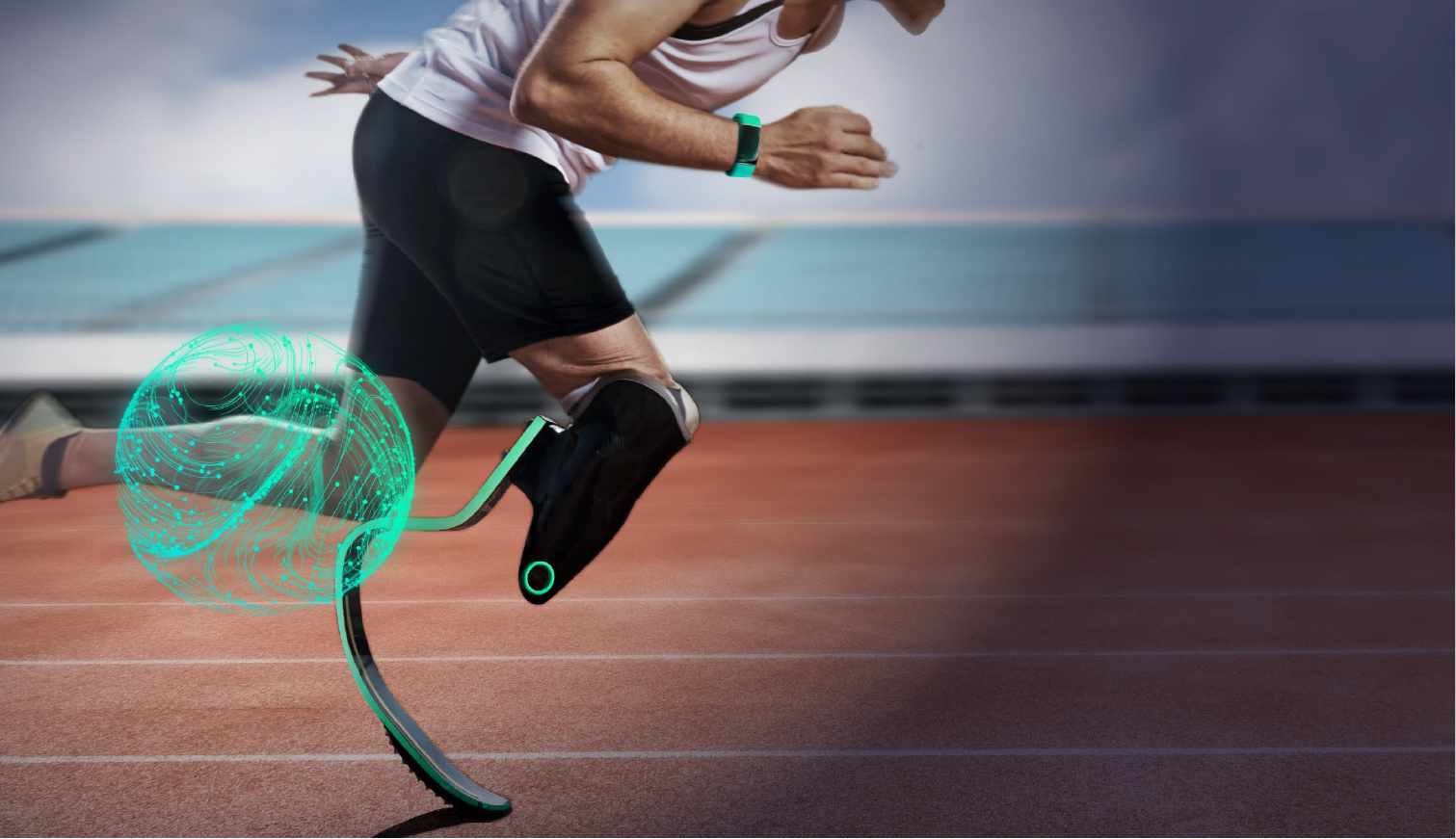 Capture 63067fb7e2284