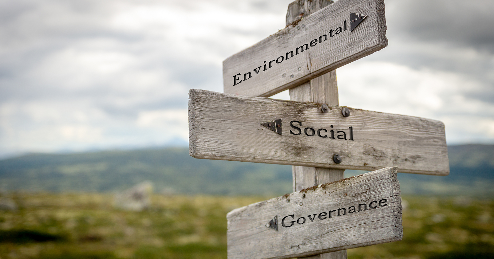 Esg Street Signs 62e9d79c291d8