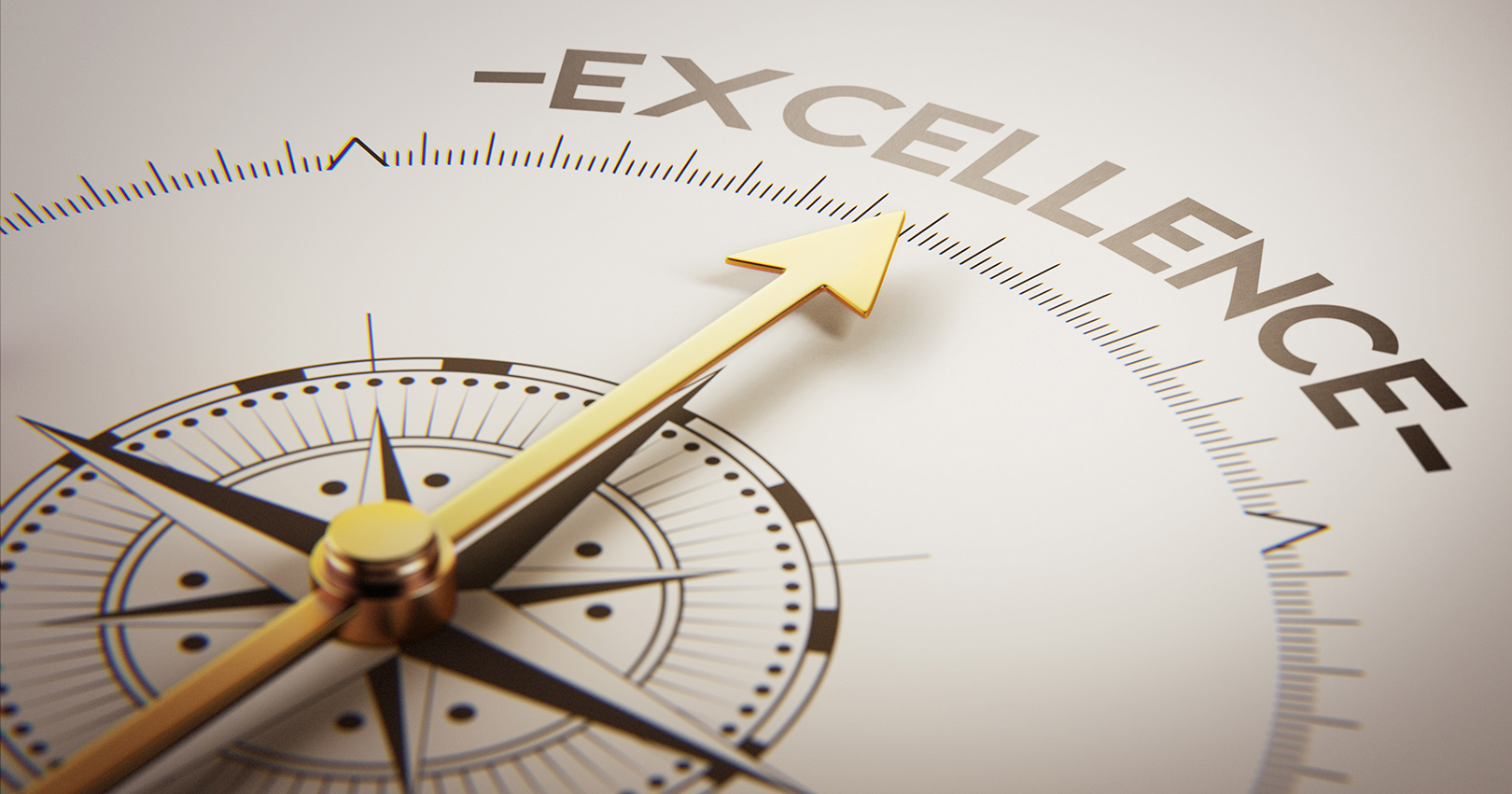 Excellence 2 T 1620 62e7f1e88a856