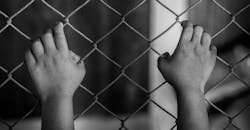 Forced Labor 6335bc5fb3c8d Forced Labor 6335bc5fb3c8d