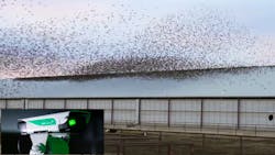 Bird Laser 6375046b6ae35 Bird Laser 6375046b6ae35