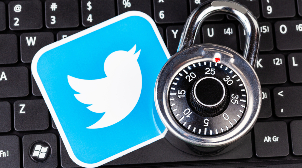 Twitter User Data Shared Nov 2022 6386337950bb9