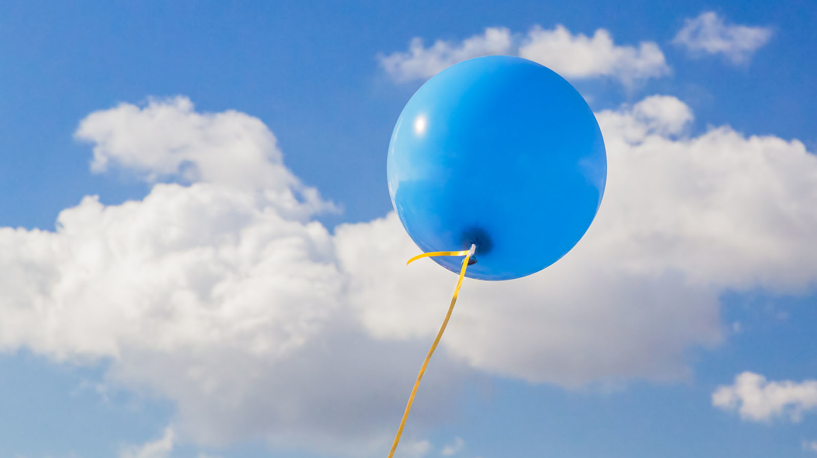 &copy; Kenneth Keifer | Dreamstime