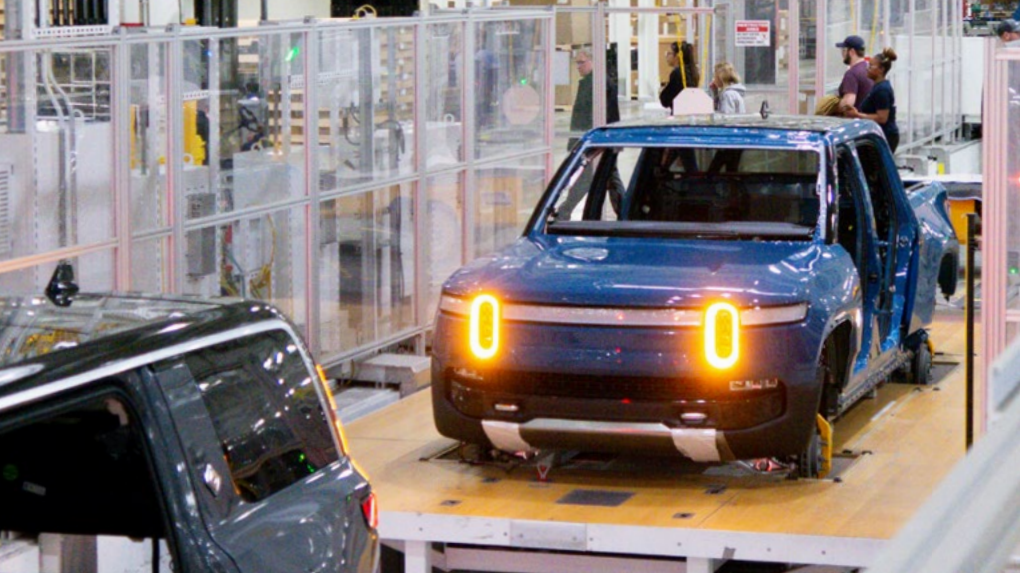 Rivn Plant 3 63ff8103c4e8b