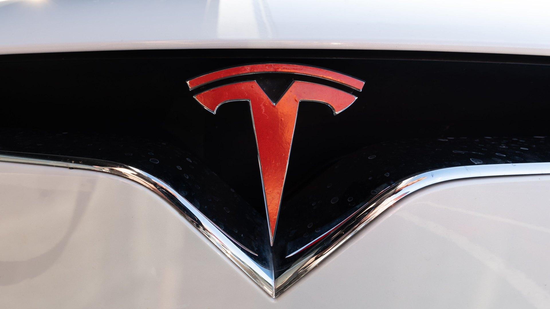 Dreamstime Xxl 257855657 6408d938d7a08