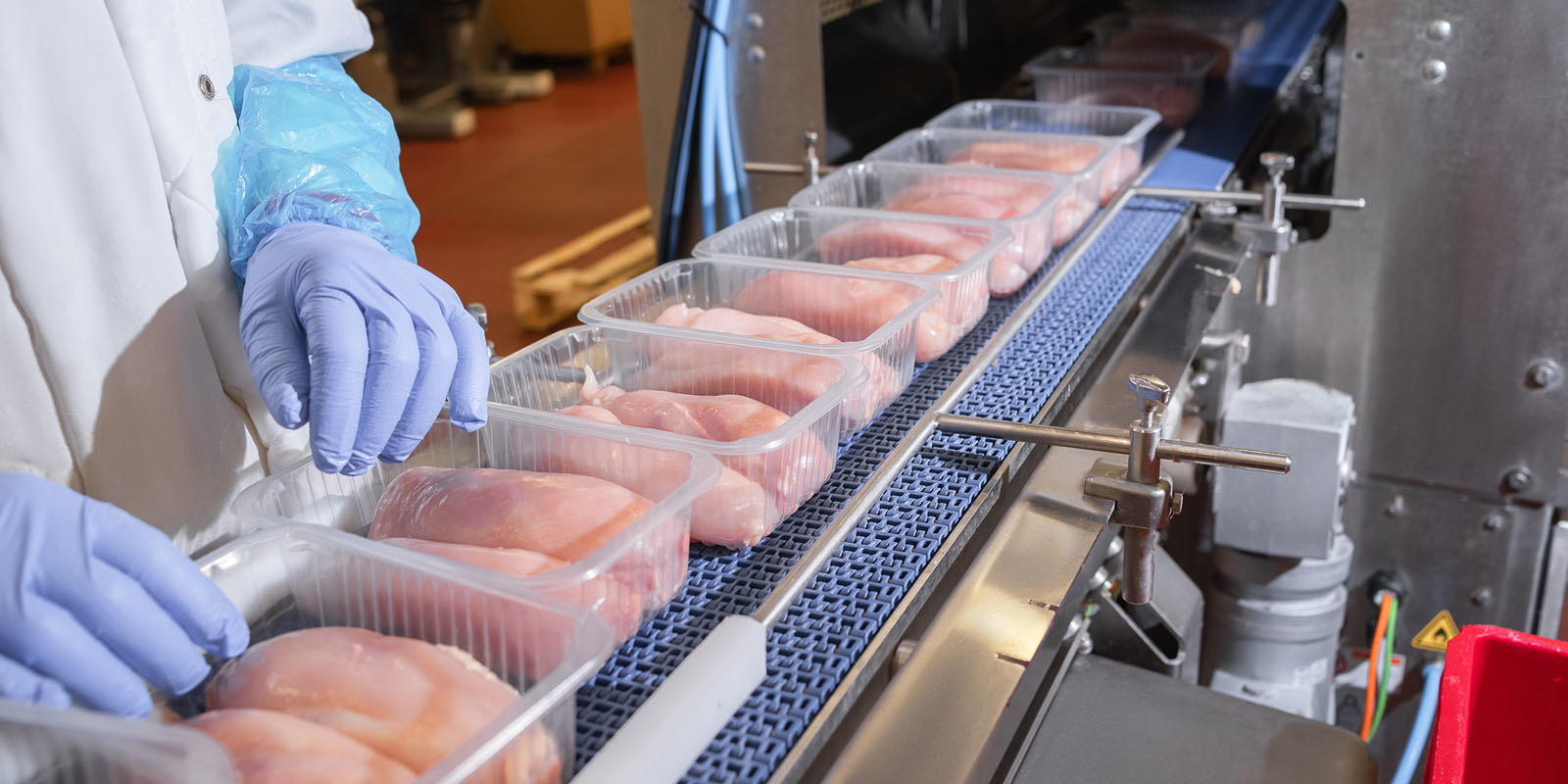 Meatpacking Chicken Assembly Line Worker Gloves Food Nondurables Nataliia Maksymenko Dreamstime 6447f7437f6c6