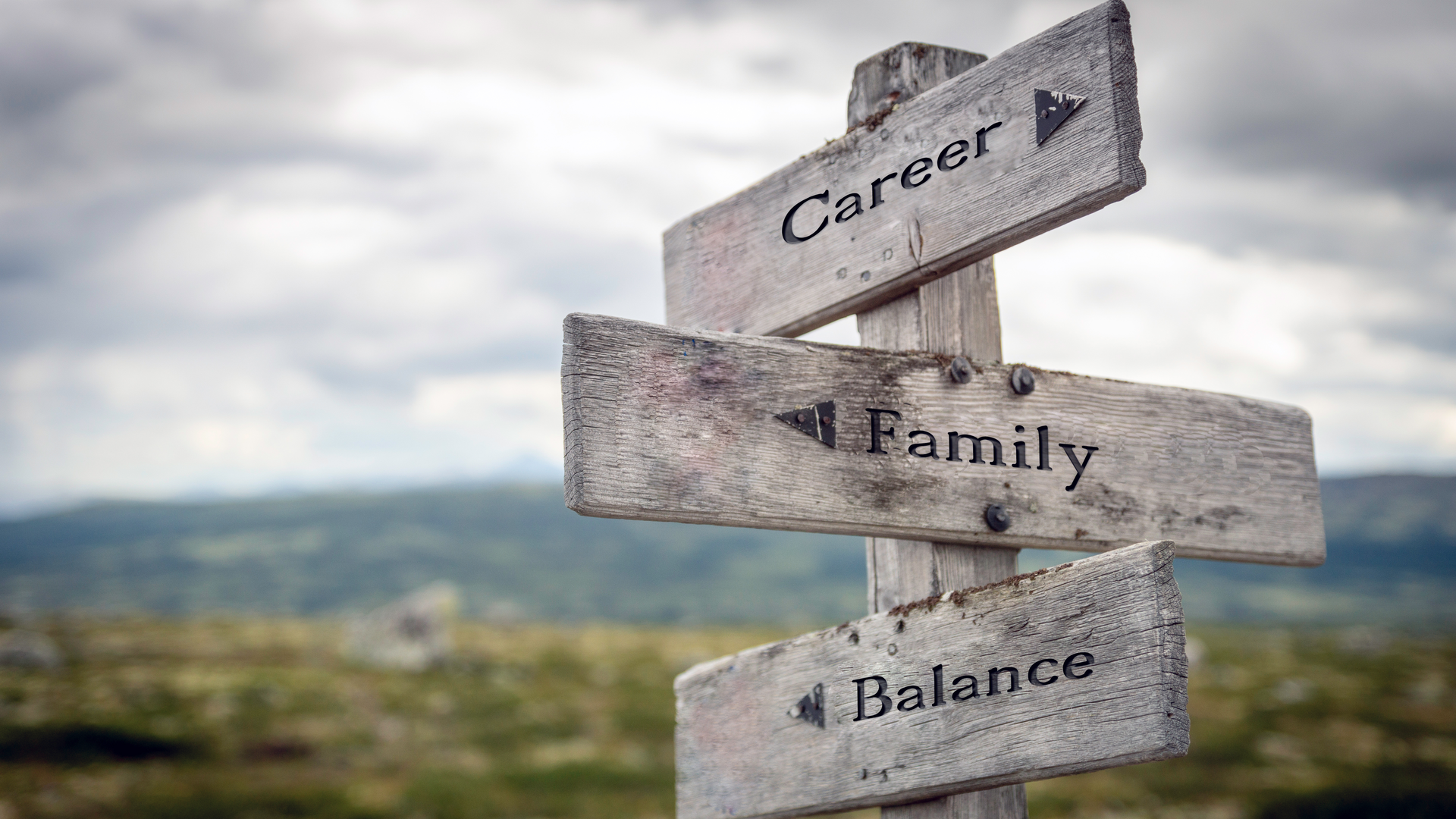 Dreamstime Xxl 164008945 64763254764c1