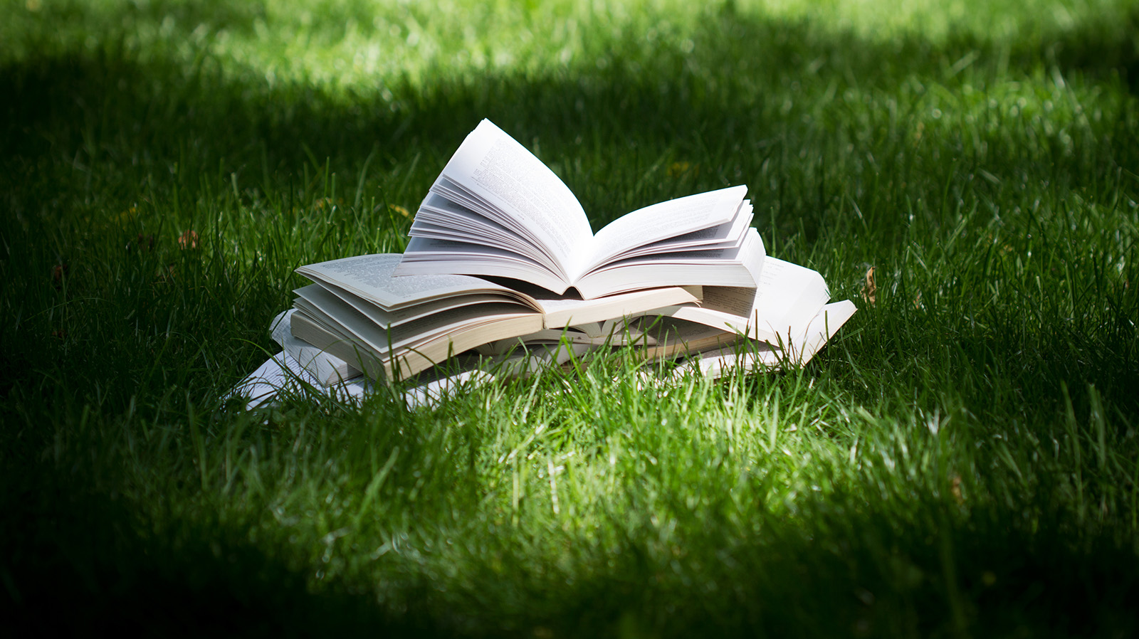 &copy; Fly | Dreamstime