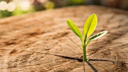 New Growth 6515e6131c45a New Growth 6515e6131c45a