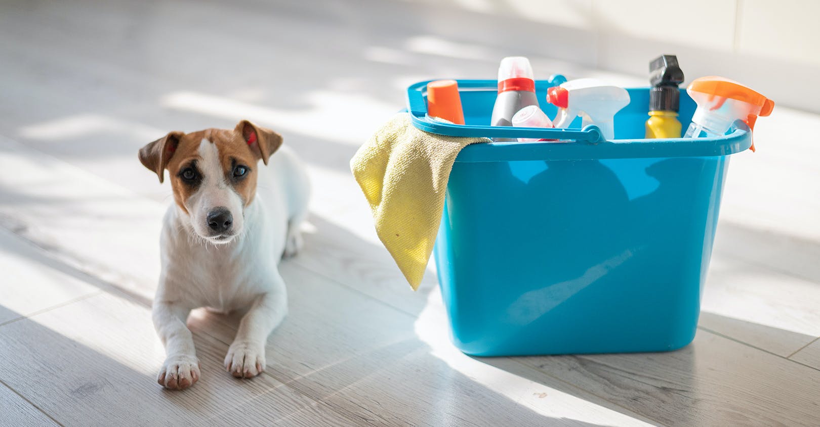 household_slideshow_cover