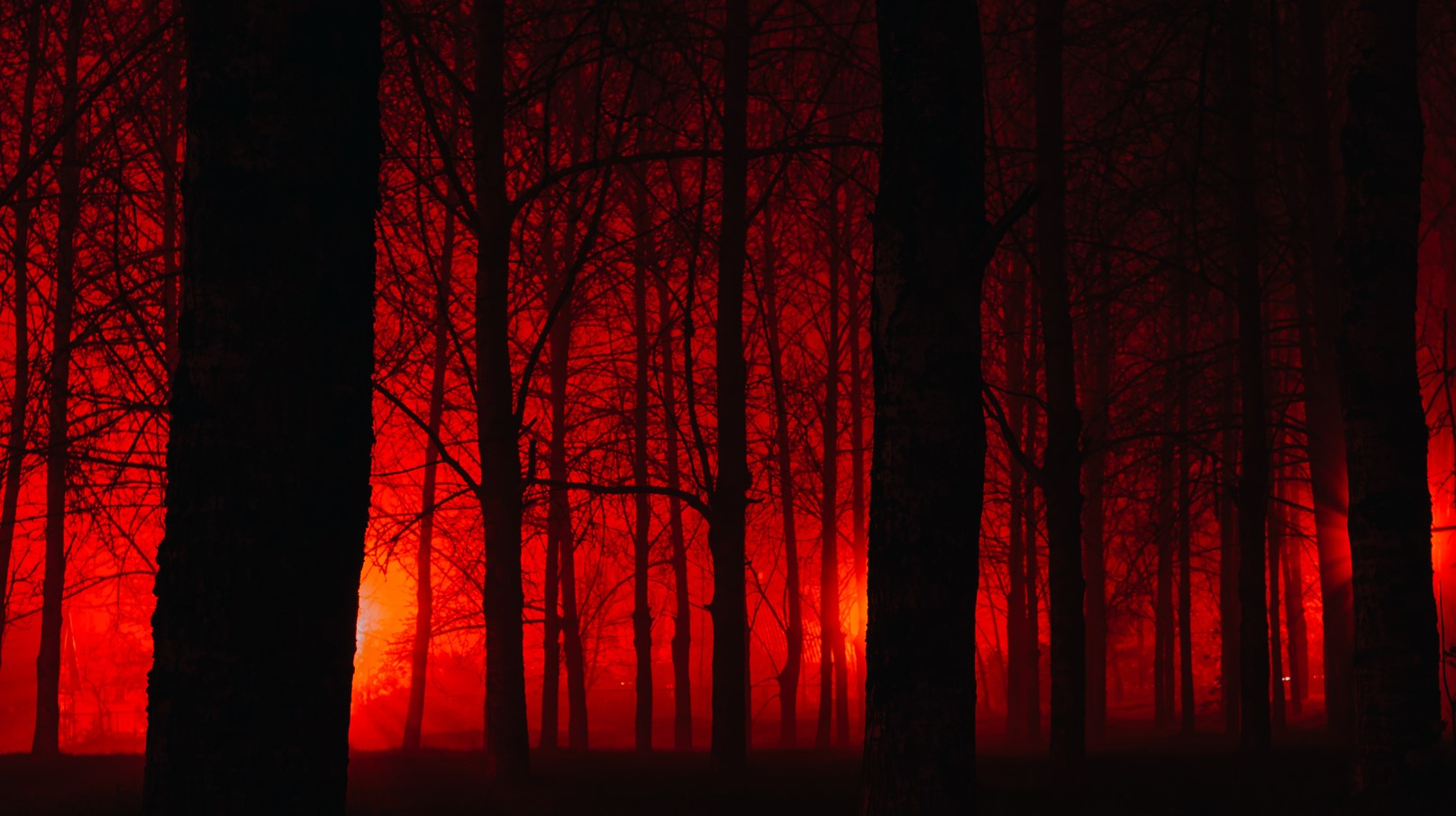 Dreamstime L 79266070 Scare 6545130443d14