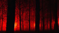 Dreamstime L 79266070 Scare 6545130443d14 Dreamstime L 79266070 Scare 6545130443d14