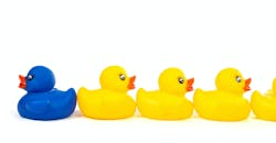 656a4825d95cfb001ec36844 Resistance With Ducks 656a4825d95cfb001ec36844 Resistance With Ducks