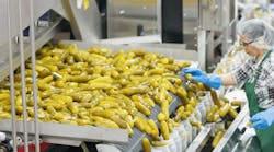 657ca4a5cf8231001e4c25a9 Pickle Factory 657ca4a5cf8231001e4c25a9 Pickle Factory