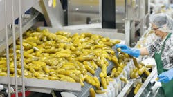 657ca4a5cf8231001e4c25a9 Pickle Factory 657ca4a5cf8231001e4c25a9 Pickle Factory