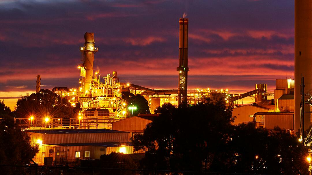 65a99b486b0c0f001eb4bf39 Aa Plant Dark