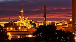 65a99b486b0c0f001eb4bf39 Aa Plant Dark 65a99b486b0c0f001eb4bf39 Aa Plant Dark