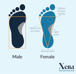 anatomical_differences_in_foot_shapes anatomical_differences_in_foot_shapes