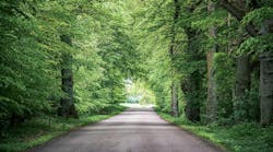 65c3db3281b59b001eefbd6f Dreamstime M 153569889 65c3db3281b59b001eefbd6f Dreamstime M 153569889