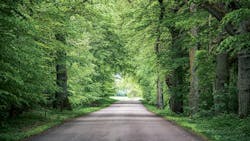 65c3db3281b59b001eefbd6f Dreamstime M 153569889 65c3db3281b59b001eefbd6f Dreamstime M 153569889