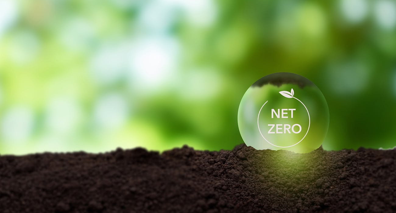 dreamstime_m_258843888_1300