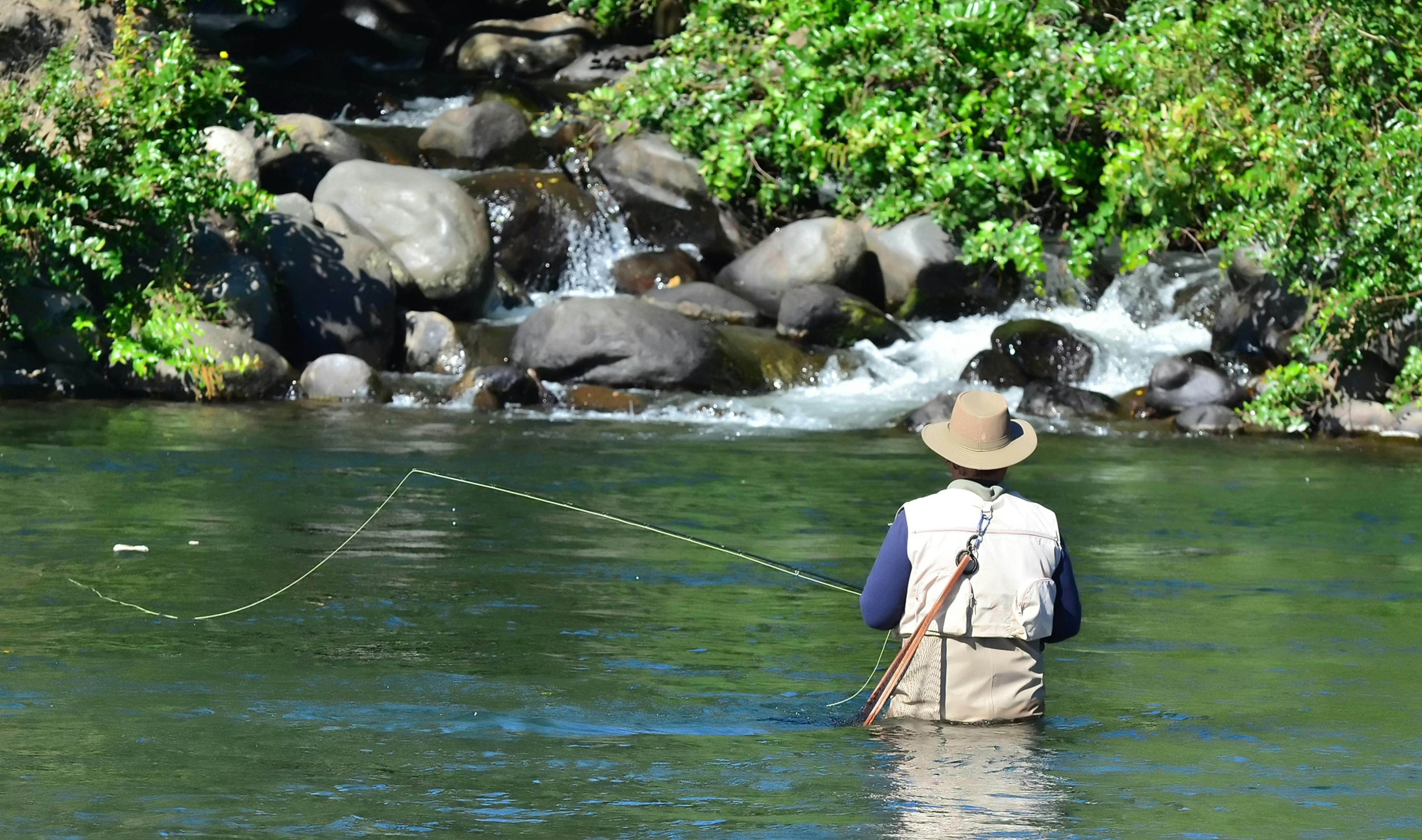 65f1c106863665001d4f5ec7 Dreamstime Xxl 23317703