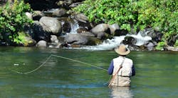 65f1c106863665001d4f5ec7 Dreamstime Xxl 23317703 65f1c106863665001d4f5ec7 Dreamstime Xxl 23317703