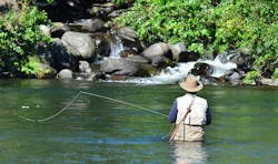 65f1c106863665001d4f5ec7 Dreamstime Xxl 23317703 65f1c106863665001d4f5ec7 Dreamstime Xxl 23317703