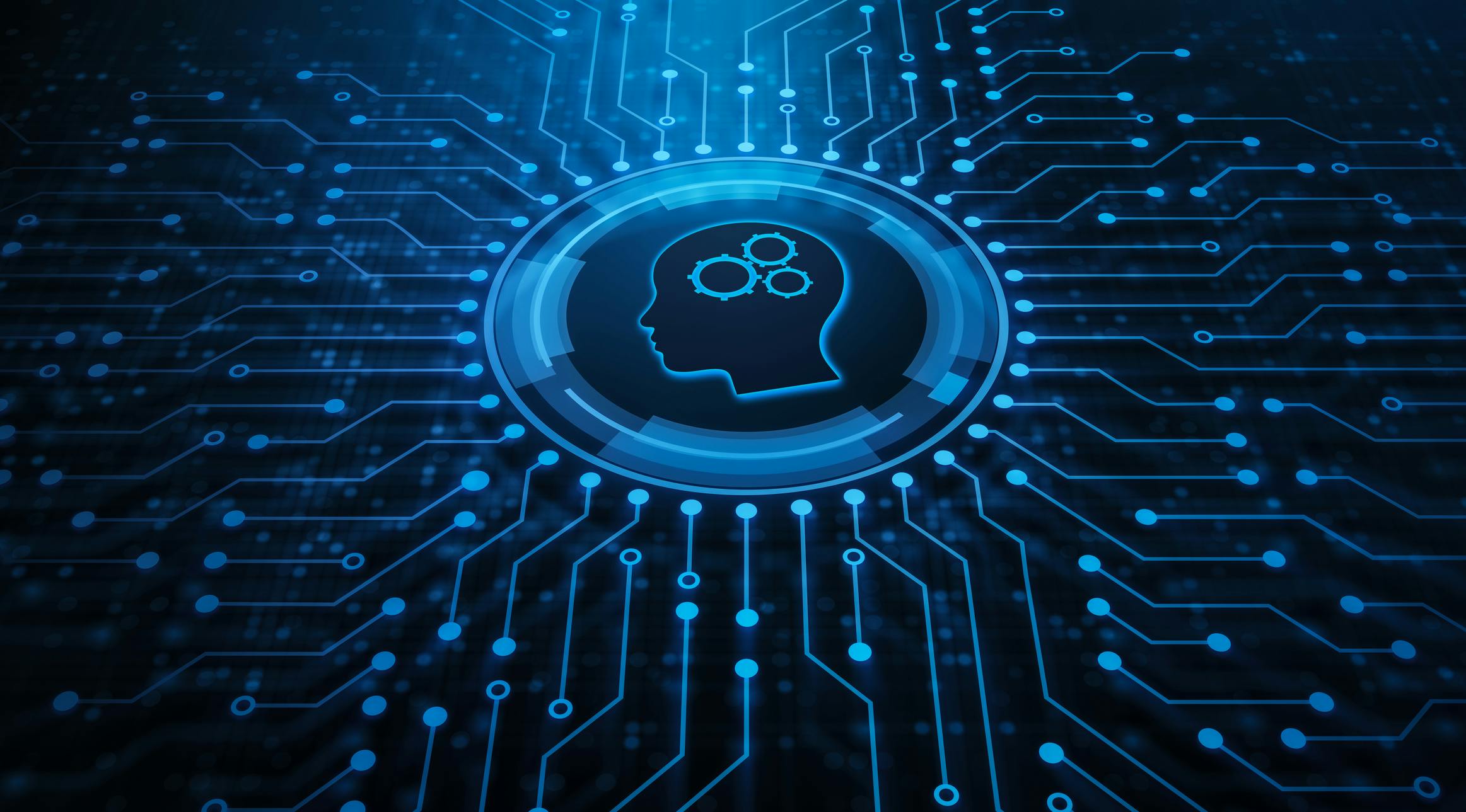 66196e85f2a3f1001e99e0e1 Dreamstime M 154440557