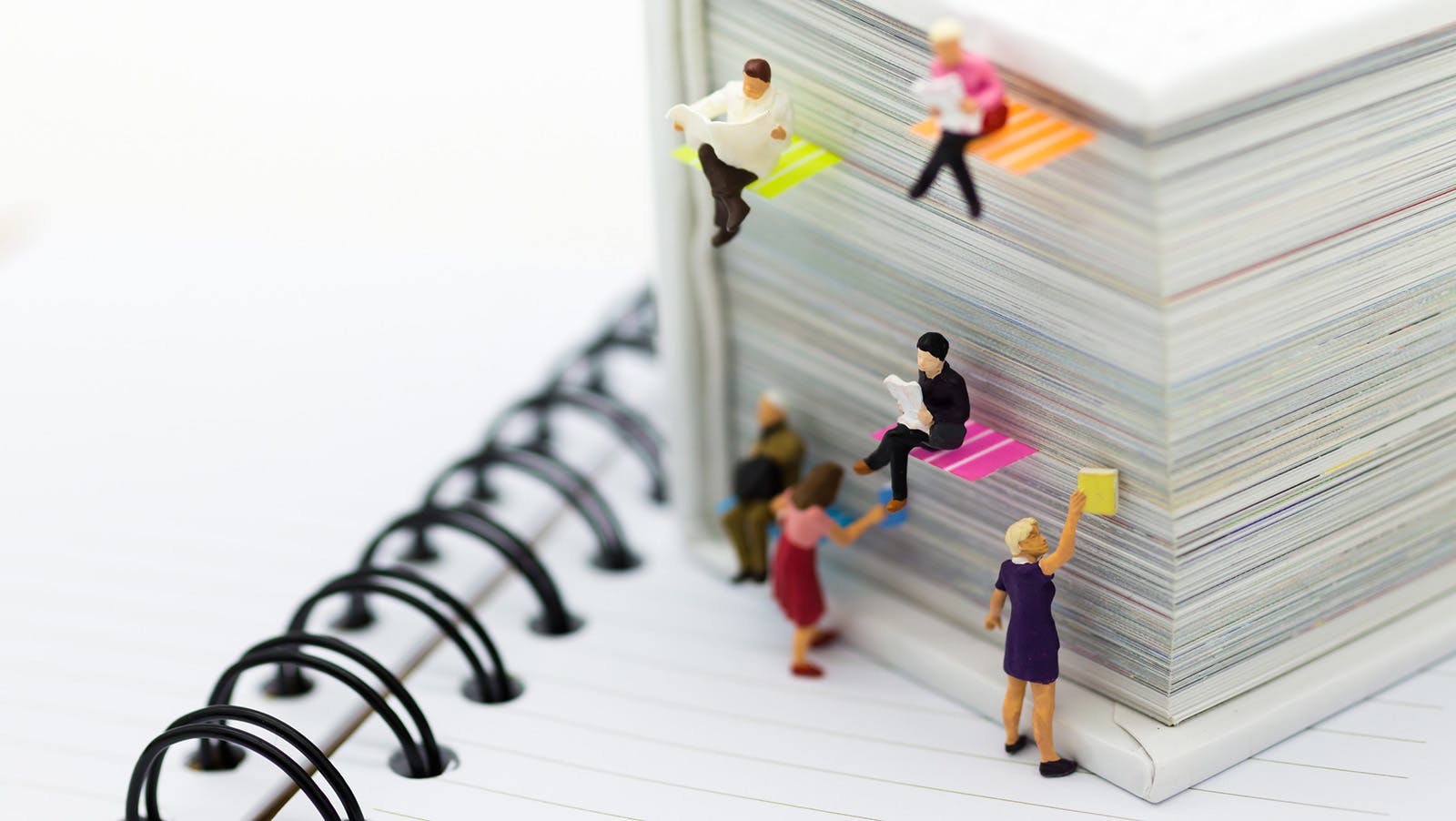 66227d2ae81fc2001e032ef4 Reading L 110142735