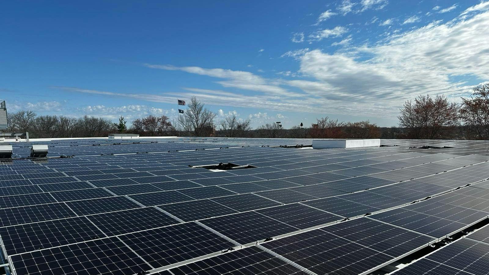 6622d9eea3e91f001e79bfa1 Photo20240322135719 9