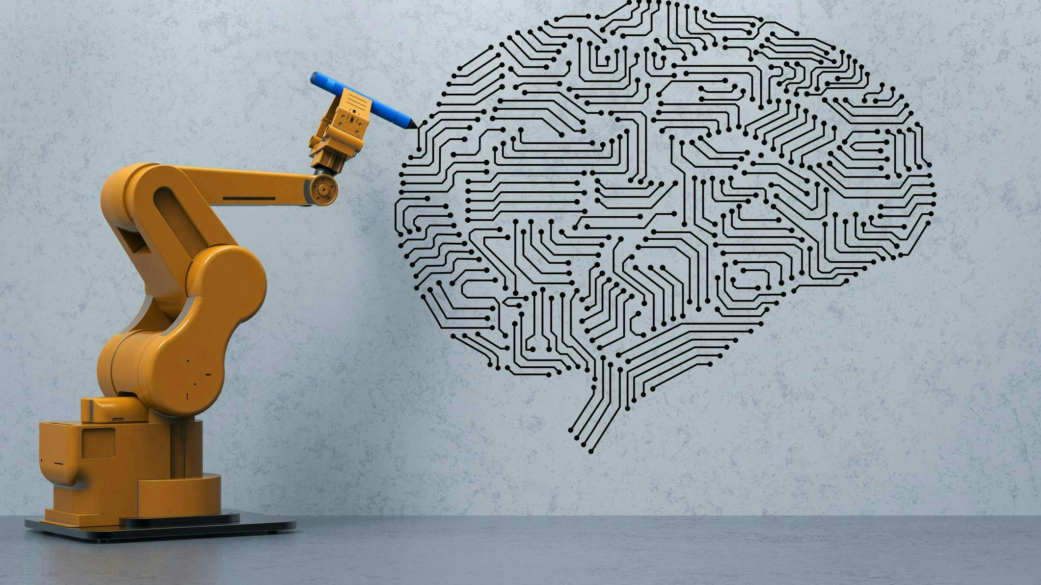 663923fb15fe790008a50926 Dreamstime M 109303745