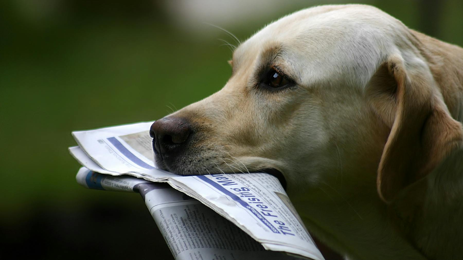 663d3a2e8768010b3e709c75 Dreamstime M 25323